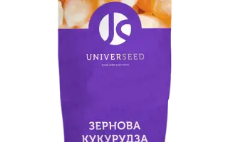 UNI3515 / ЮНІ3515