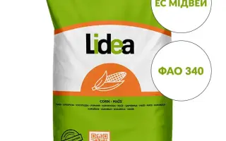 ES MIDWAY / EС МІДВЕЙ