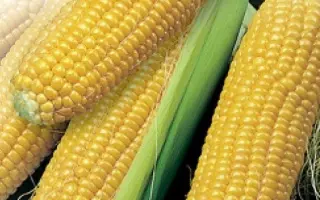 Адоніс 224 СВ