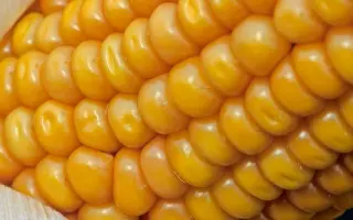 Alduna / Альдуна