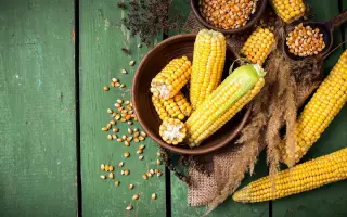 Amamonte / Амамонте