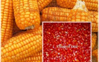 Анатолієвський 246 МВ