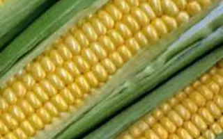 AS 13280 / АС 13280