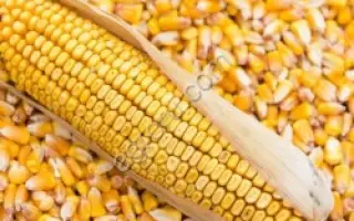 AS 14200 / АС 14200