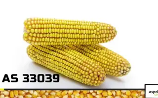 AS 13330 / АС 13330