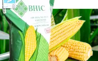 AS 14290 / АС 14290