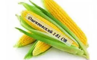 AS 33008 / АС 33008