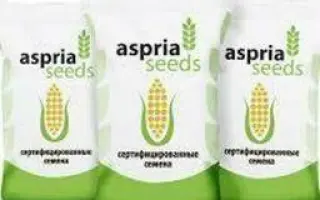 AS 33017 / АС 33017