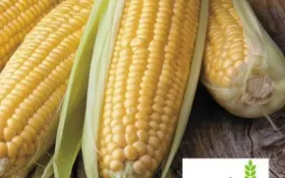 AS 33033 / АС 33033