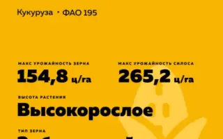 AS 34010 / АС 34010