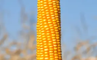 AS 35002 / АС 35002