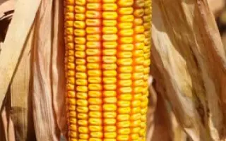 Атлант 400 МВ