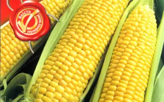 BAGROWO / БАГРОВО