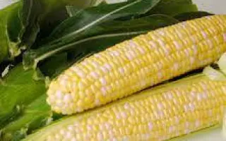 Baxxos / Баксос