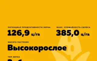 Борисфен 275 АМВ