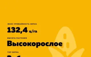 Борисфен 430 АМВ