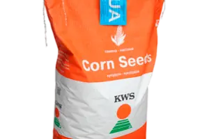 Galvani CS / Галвані КС