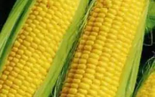 Деррик / Деррік