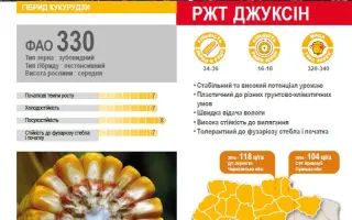 Juxxin / Джуксін