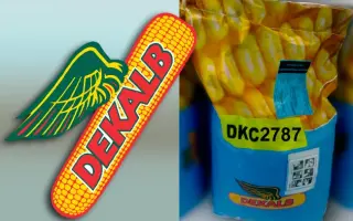 DKC2787 / ДКС2787