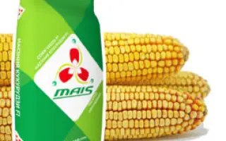 DKC2965 / ДКС2965