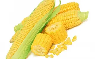 Днепровскый 228 МВ / Дніпровський 228 МВ