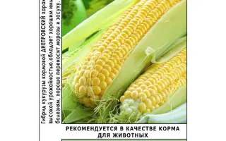 Днепровский 284 МВ / Дніпровський 284 МВ