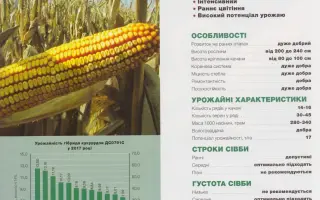 DS0791C / ДС0791С