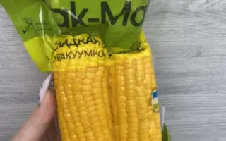 Екватор 338 МВ