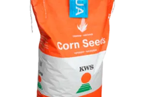 Emilio / Еміліо