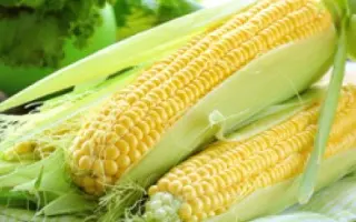 Еarly Star / Ерлі Стар