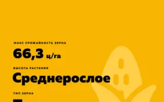 ES Astrakan / ЕС Астракан