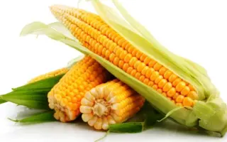 ES BIGDAY / ЕС БІГДЕЙ