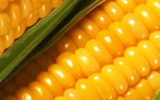 ES Garant / ЕС Гарант