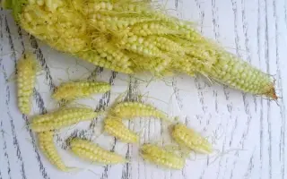 ES Diademe / ЕС Діадема