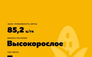 ES EPILOG / ЕС ЕПІЛОГ