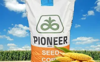 ES Kristelle / ЕС Крістель