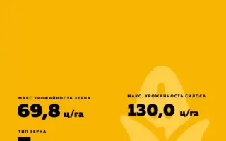 ES Makila / ЕС Макіла