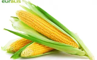 ES METEORIT / ЕС МЕТЕОРИТ