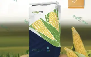 ES NAVIJET / ЕС НАВІДЖЕТ