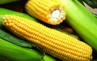 ES Sigma / ЕС Сігма