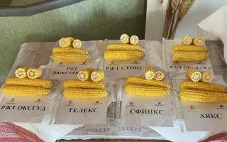 Eurostar / Євростар