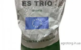 ES Tryo / ЄС Тріо