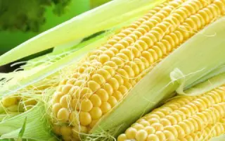 Sucosta / Зукоста