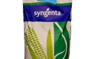 Sunergy / Зунергі