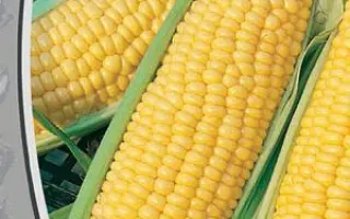 Sufavor / Зуфавор