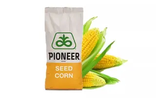 Іллінецький 90 СВ