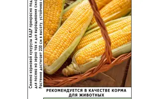 Кадр 318 МВ