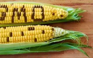 Kanada / Канада