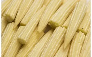 Kuartal / Квартал